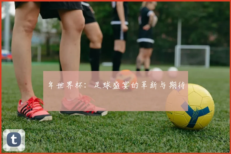 年世界杯：足球盛宴的革新与期待